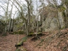 Rosenmuellerhoehle-4