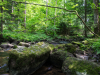 Saussbachklamm-10