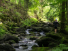 Saussbachklamm-12