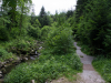 Saussbachklamm-13