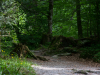 Saussbachklamm-15