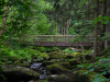 Saussbachklamm-16