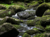 Saussbachklamm-17