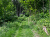 Saussbachklamm-18