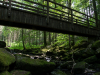 Saussbachklamm-3