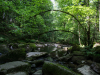 Saussbachklamm-4