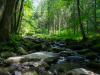Saussbachklamm-6