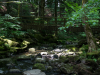 Saussbachklamm-7