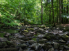 Saussbachklamm-8
