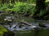 Saussbachklamm-9