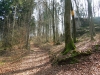Thuisbrunn_03