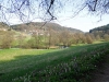 Thuisbrunn_20