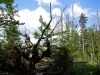 Tierfreigehege_04