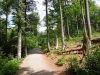 Tierfreigehege_07