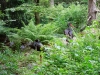 Tierfreigehege_08