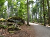 Tierfreigehege_10
