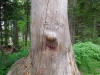 Tierfreigehege_11