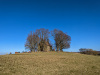 Veitsberg-12