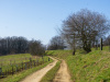Veitsberg-8