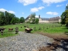 wildpark_01