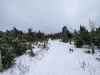 Fichtelberg-19