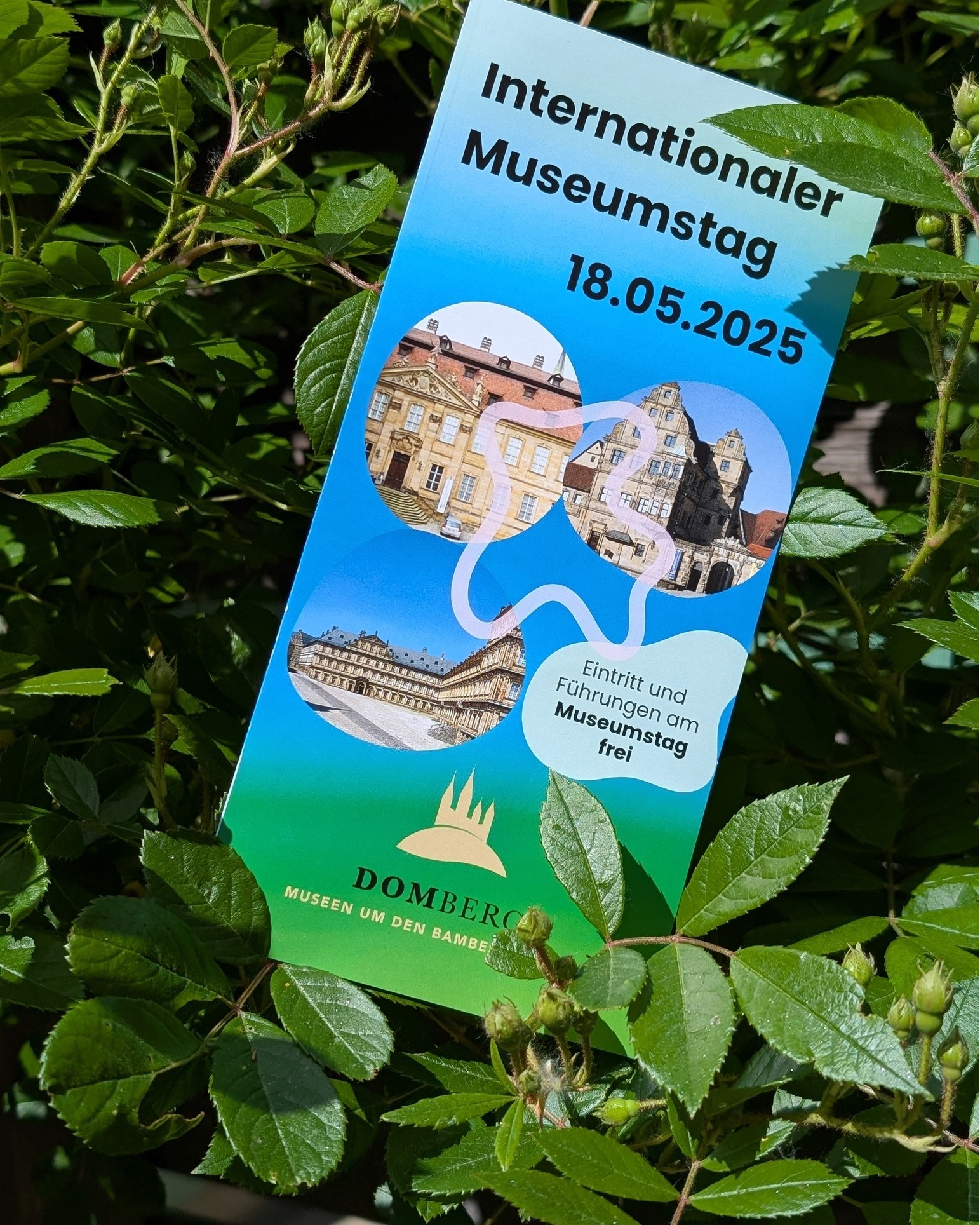 Habt ihr am Sonntag bereits etwas geplant? Am Internationalen Museumstag bieten viele Museen ein spezielles Programm - meist bei freiem Eintritt 🙂
In Bamberg sind u.a. die Museen um den Domberg dabei. Das Programm für den Tag findet ihr unter: www.domberg-bamberg.de/news/artikel/internationaler-museumstag/
@dombergbamberg
#museumstag #museum #bamberg #familienzeit #ausflugstipp #franken #ausflugstippsfürfamilien