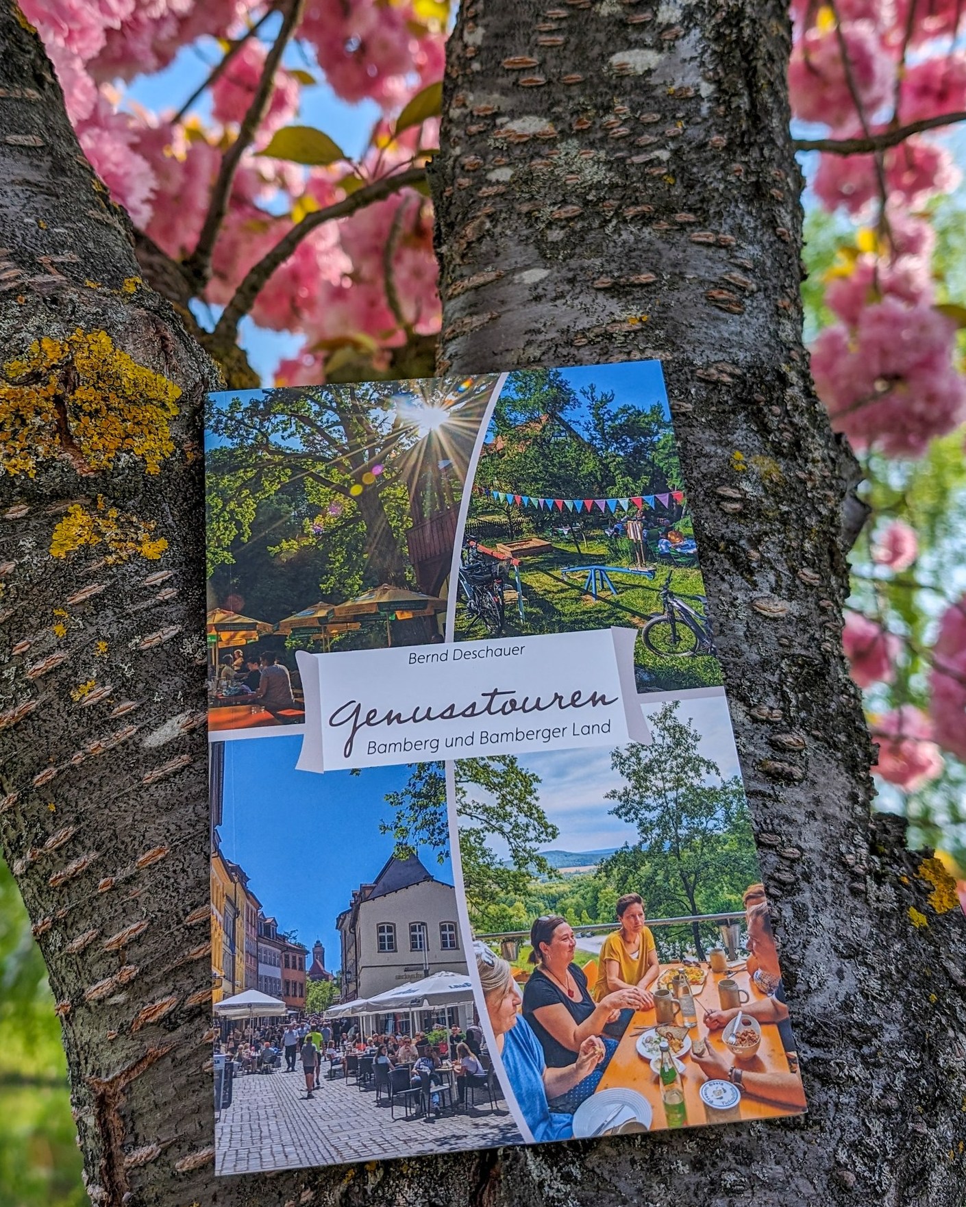 Warum in die Ferne schweifen, das Gute liegt so nah...

Leckeres Essen auf einem Keller, Natur erleben, Zeit für sich zu haben oder mit Freunden verbringen, ohne auf die Uhr schauen zu müssen. Im Buch „Genusstouren Bamberg & Bamberger“ Land finden Genussmenschen schöne Touren für eine kurze Auszeit vom oft hektischen Alltag. Aber auch Mehrtagestouren für ein entspanntes Wander- oder Radwochenende sind enthalten. Gerade für Genießer bietet Bamberg und das Bamberger Land mit den vielen Brauereien, Kellern, urigen Gasthäusern und Heckenwirtschaften schöne Ziele, bei denen man gerne verweilen will und die Zeit anhalten möchte.

Das Buch ist im lokalen Buchhandel und online erhältlich.

#bamberg #wandern #radfahren #wanderbuch #bambergerland
@bamberg_info @fraenkischetoskana @naturparksteigerwald